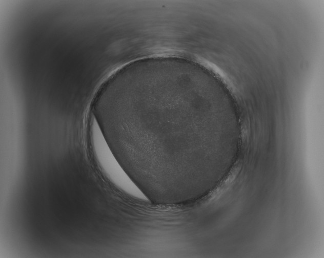 X0000102521267200808151525