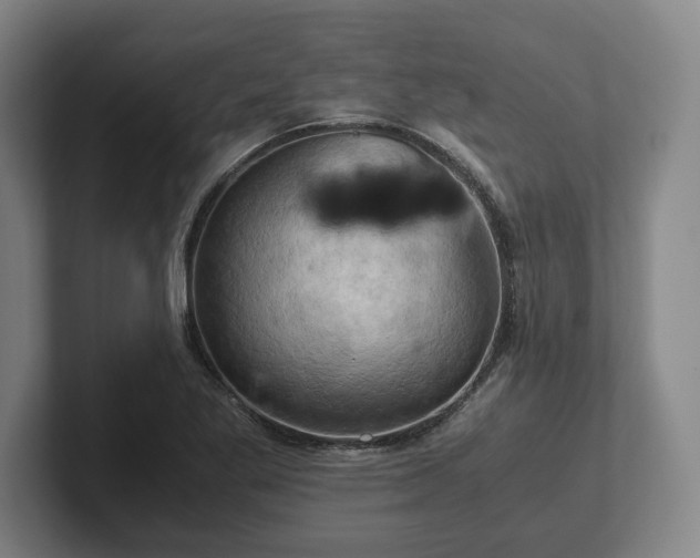 X0000102521269200808151525