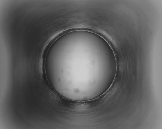 X0000102521270200808151525