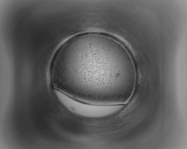 X0000102521271200808151525