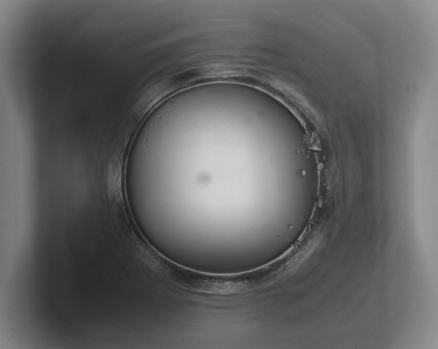 X0000102521273200808151525