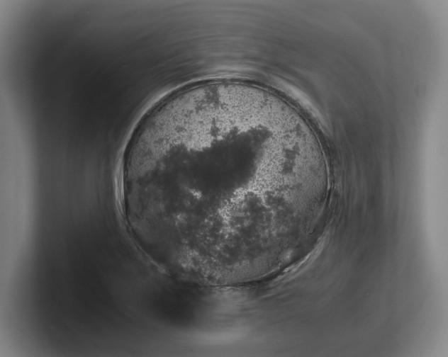 X0000102521275200808151525