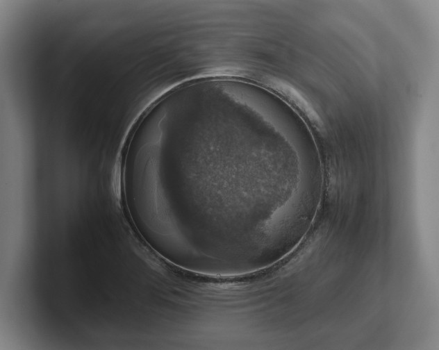 X0000102521276200808151525