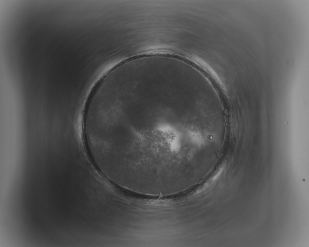 X0000102521277200808151525