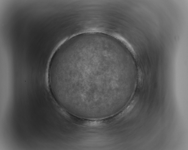 X0000102521278200808151525