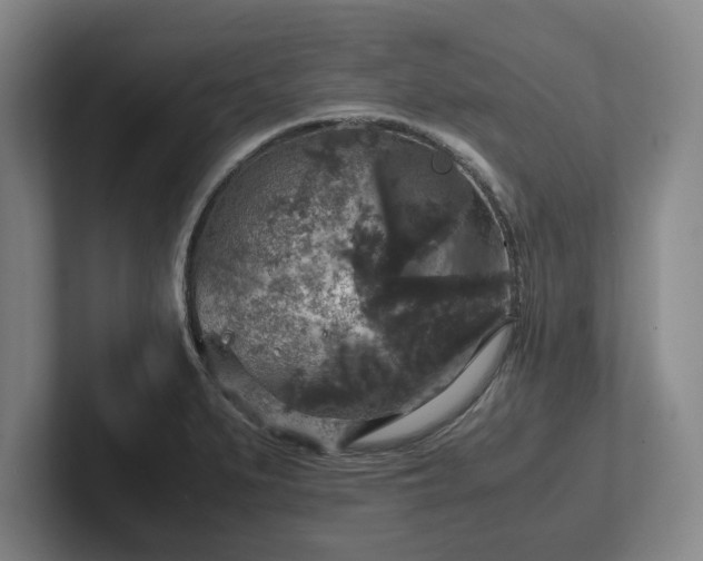 X0000102521279200808151525