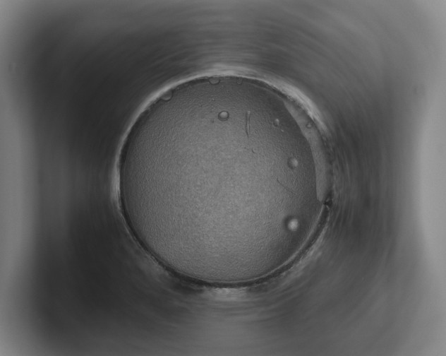 X0000102521280200808151525