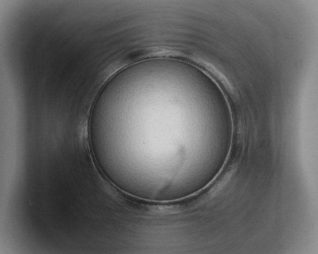 X0000102521281200808151525