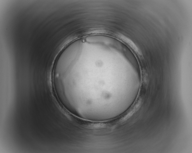 X0000102521282200808151525