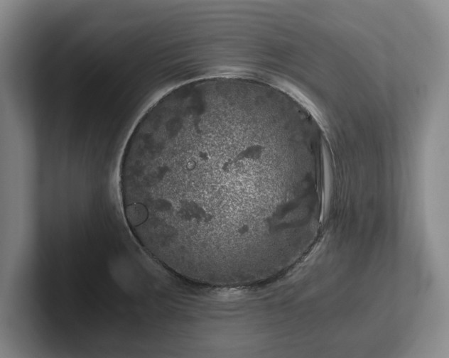 X0000102521283200808151525