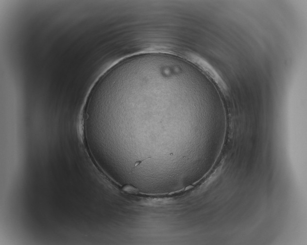 X0000102521284200808151525