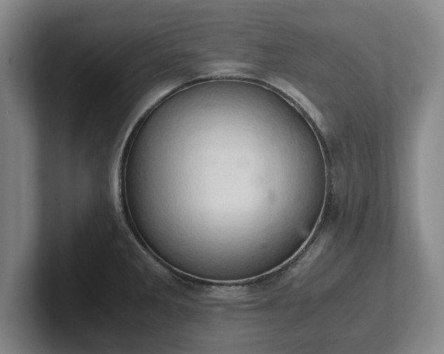 X0000102521285200808151525