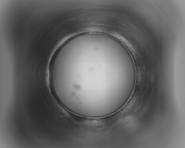 X0000102521286200808151524