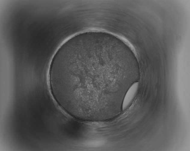 X0000102521287200808151524