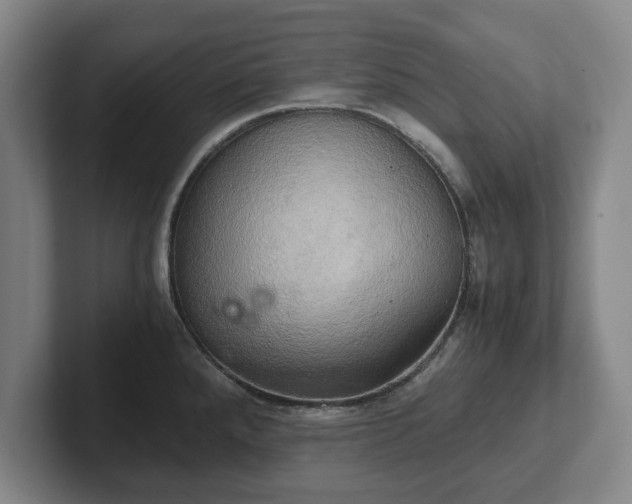 X0000102521288200808151524