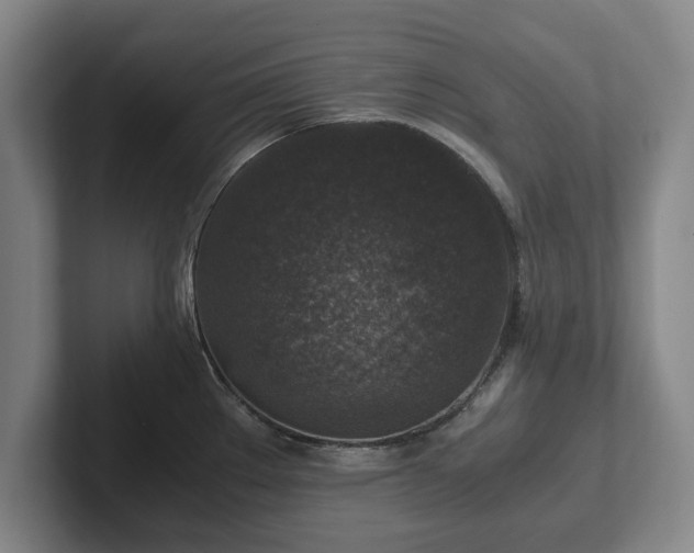 X0000102521289200808151524