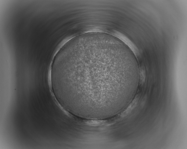 X0000102521290200808151524