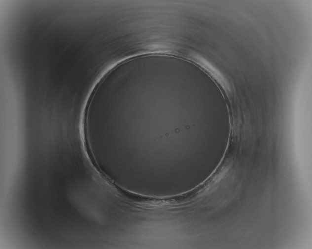 X0000102521291200808151524