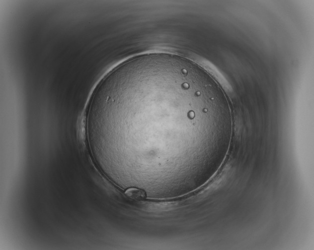 X0000102521292200808151524