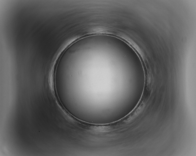 X0000102521293200808151524