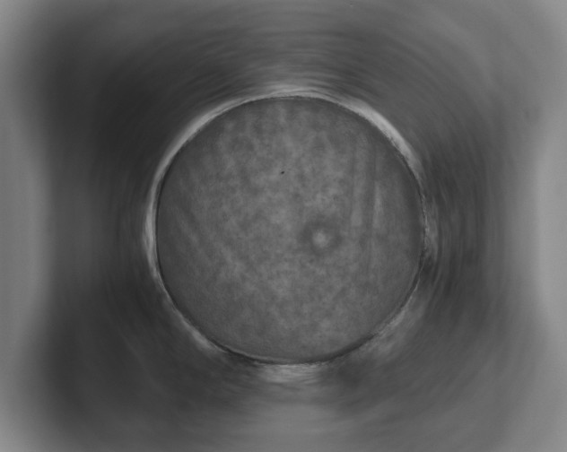 X0000102521294200808151524