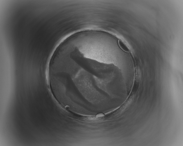 X0000102521295200808151524