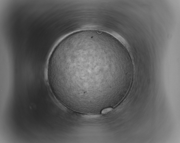 X0000102521296200808151524