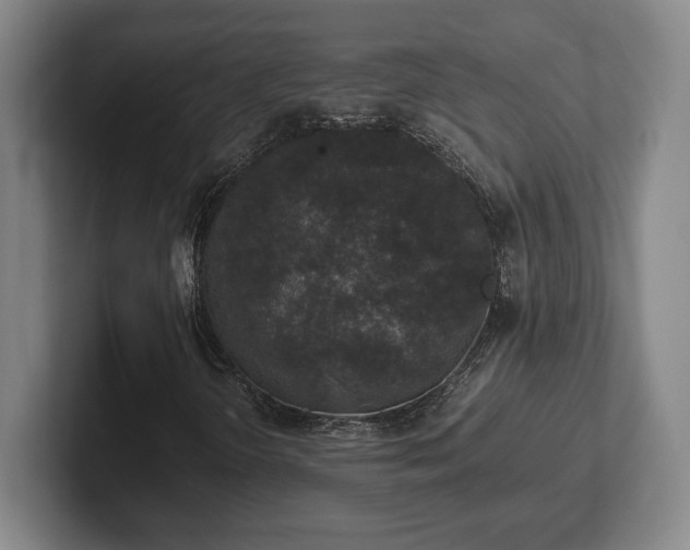 X0000102521298200808151524