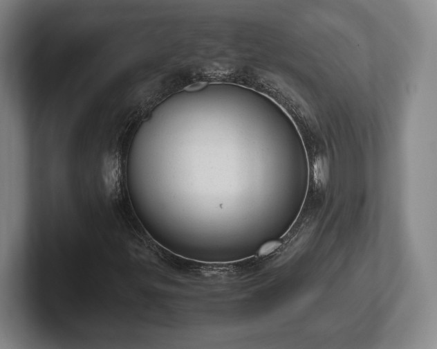 X0000102521299200808151524