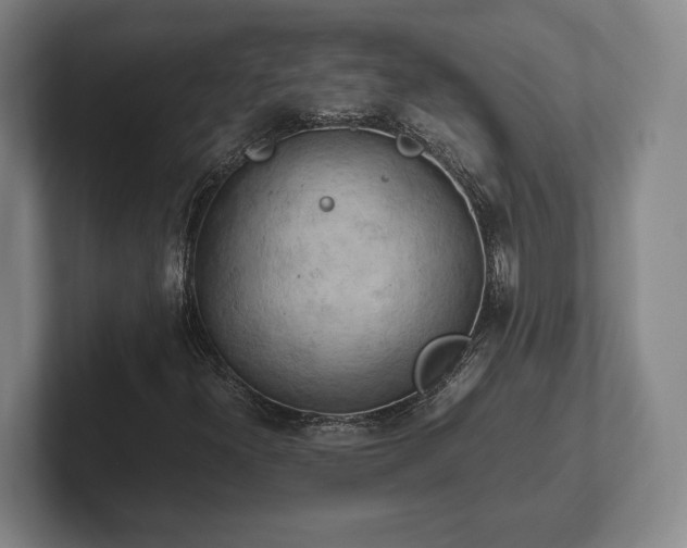 X0000102521300200808151524