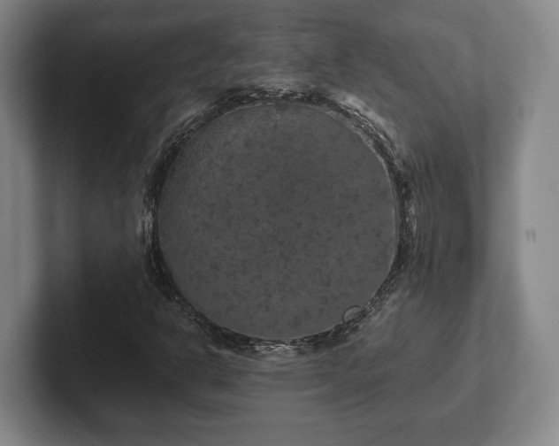 X0000102521302200808151524