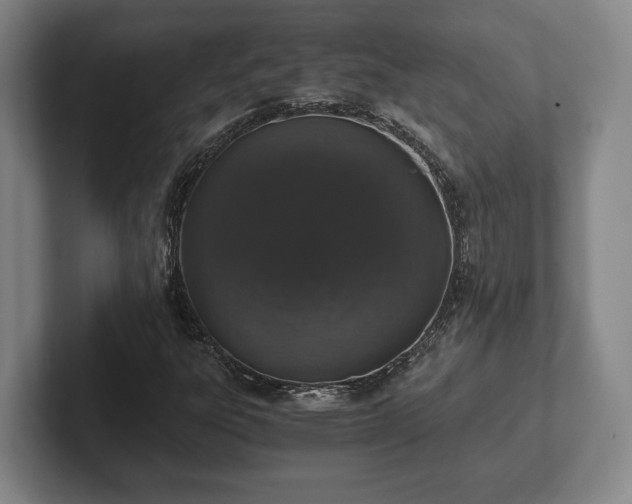 X0000102521303200808151524