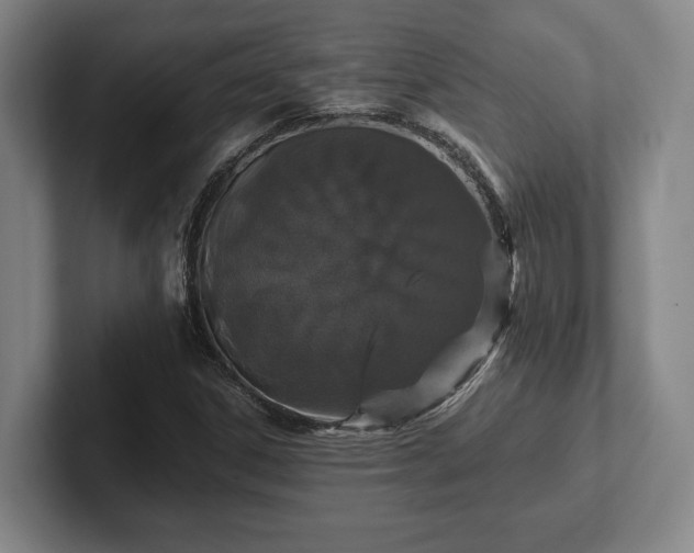 X0000102521306200808151524