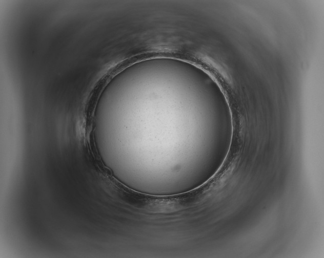 X0000102521307200808151524