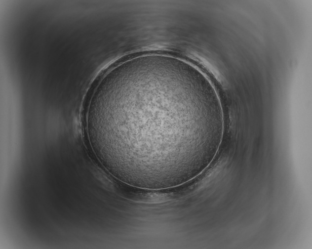 X0000102521308200808151524