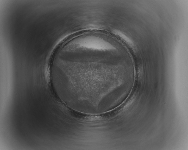 X0000102521310200808151524