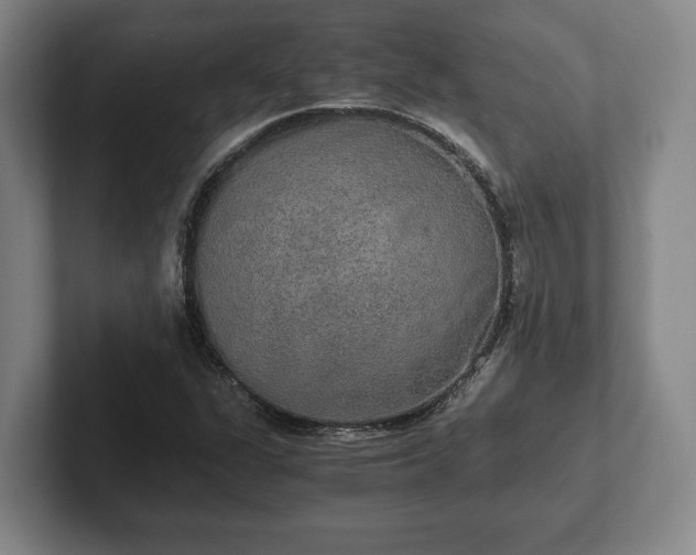 X0000102521311200808151524