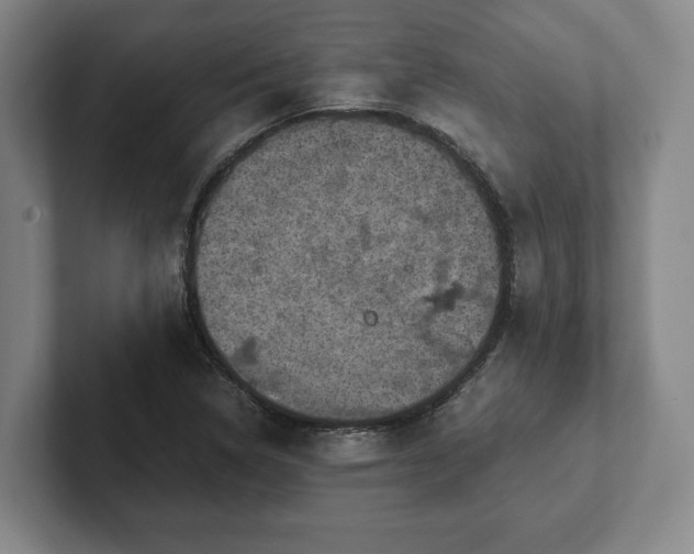 X0000102521314200808151524