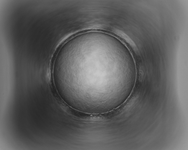 X0000102521316200808151524