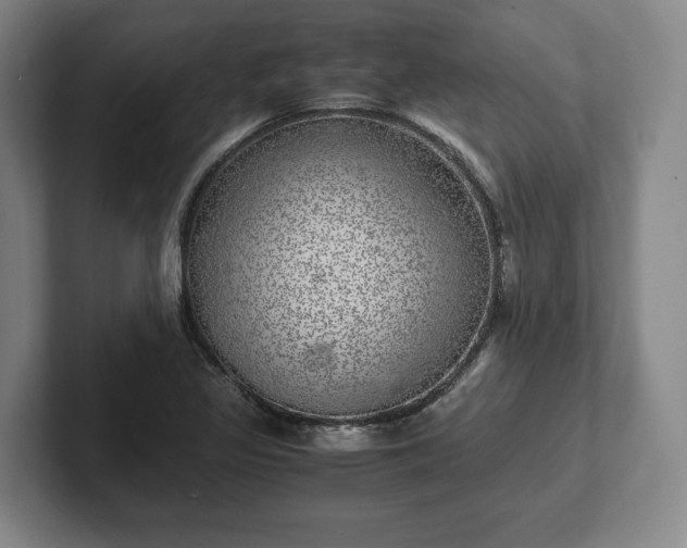 X0000102521317200808151524