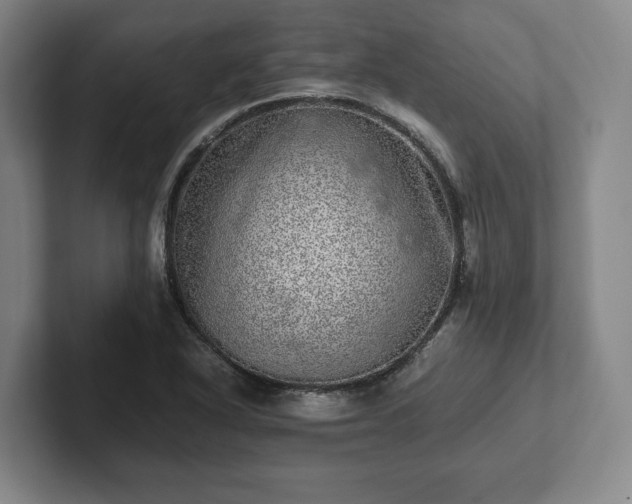 X0000102521318200808151524