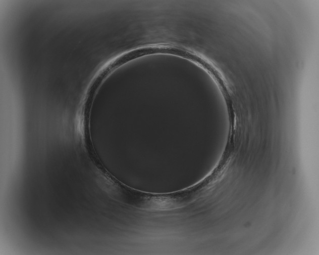 X0000102521319200808151524