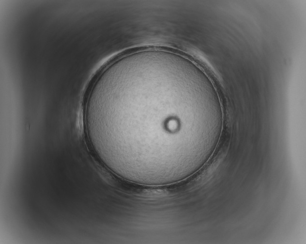 X0000102521320200808151524