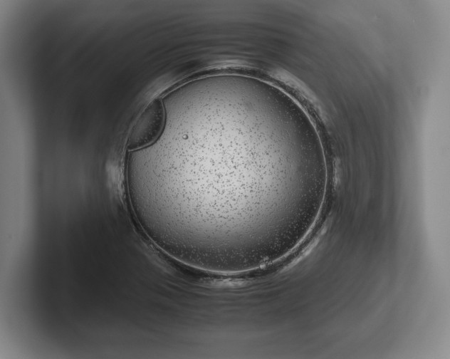 X0000102521321200808151524