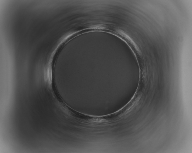 X0000102521323200808151524