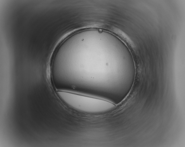 X0000102521324200808151524