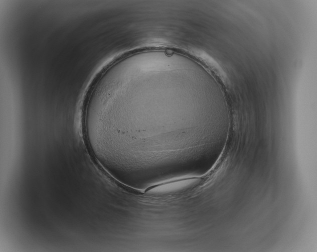 X0000102521326200808151524