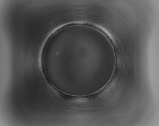 X0000102521327200808151524