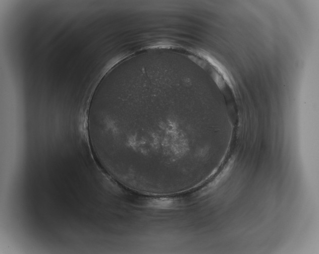 X0000102521329200808151524