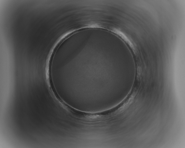 X0000102521331200808151524